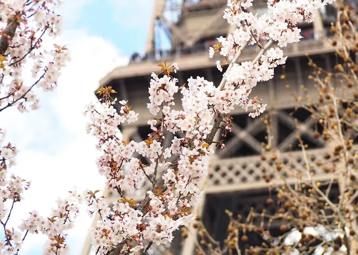 Hotel Recamier Parigi